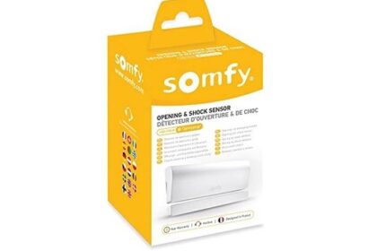 Somfy 2401362 IO Funk Öffnungsmelder Tür