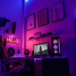Zwei schwarze 4K-Überwachungskameras der Marke Reolink stehen auf einem Regal, daneben ein weißer Hub. Im Hintergrund ein gemütliches, smartes Wohnzimmer mit warmem Licht.